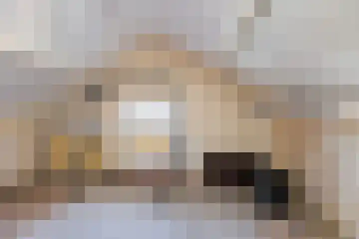 Speelbrinkweg 14 't Harde thumbnail 36