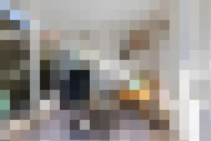 Speelbrinkweg 14 't Harde thumbnail 40