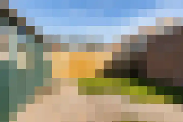 Speelbrinkweg 14 't Harde thumbnail 41