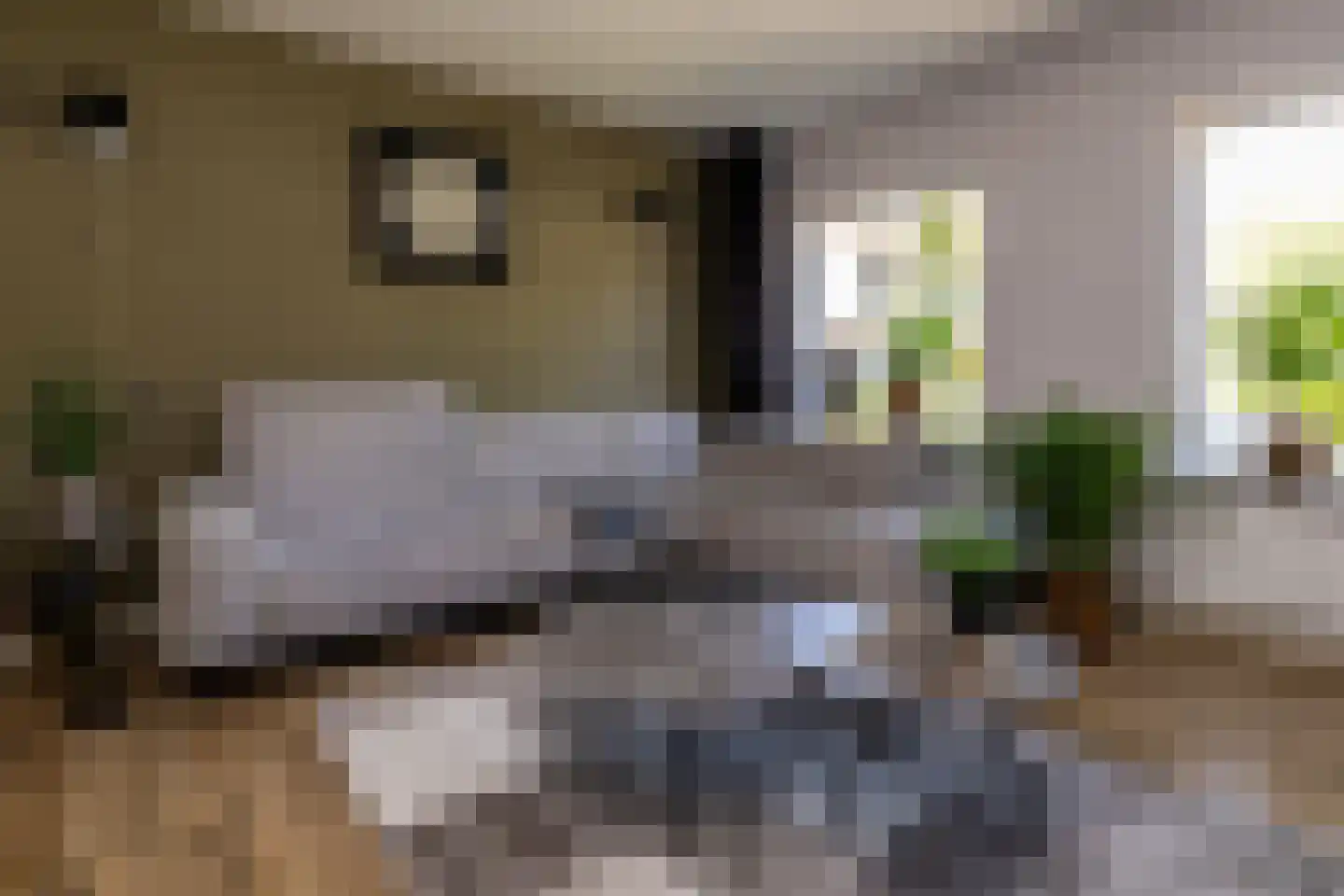 Speelbrinkweg 20 't Harde thumbnail 11