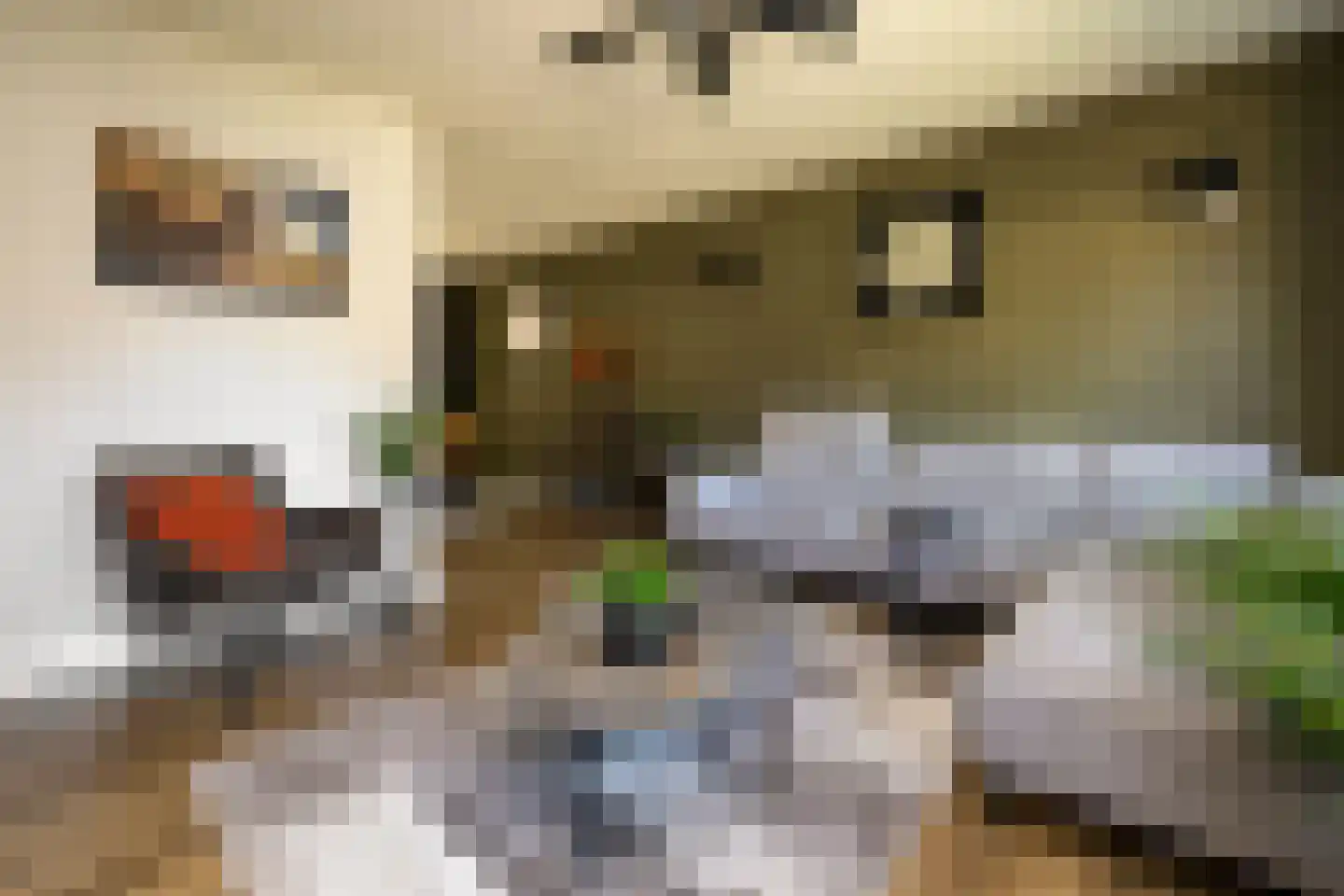 Speelbrinkweg 20 't Harde thumbnail 13
