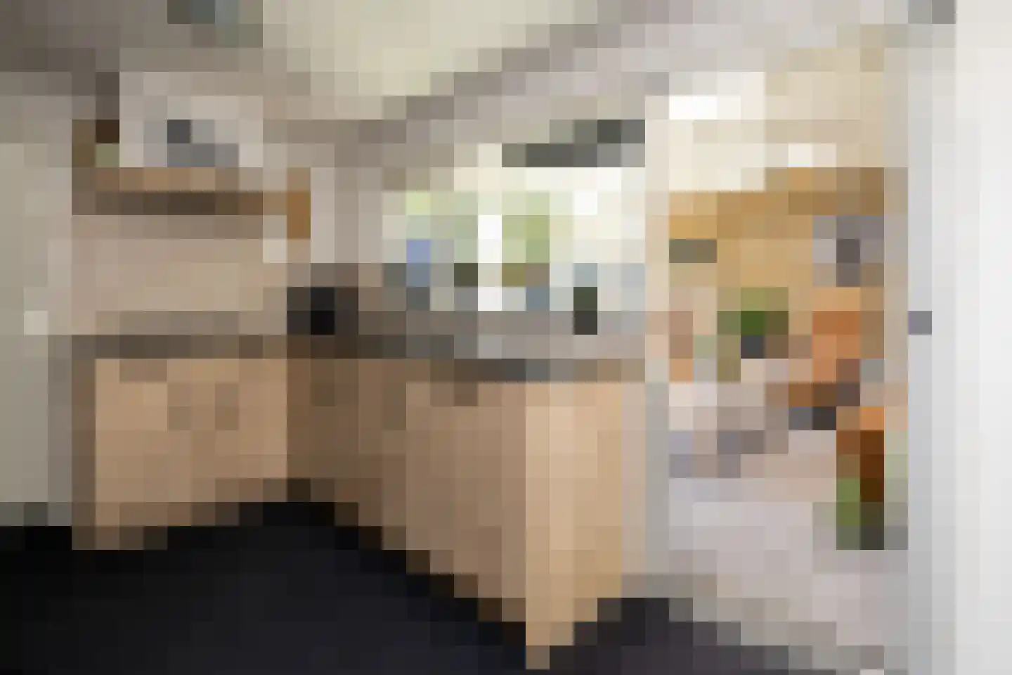 Speelbrinkweg 20 't Harde thumbnail 16