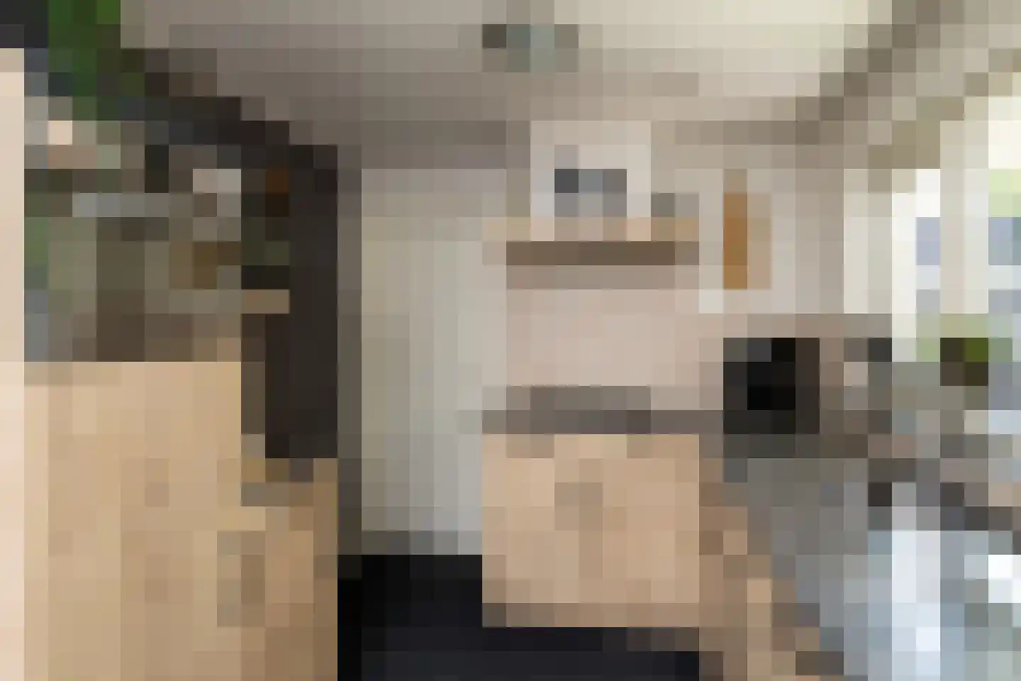 Speelbrinkweg 20 't Harde thumbnail 18