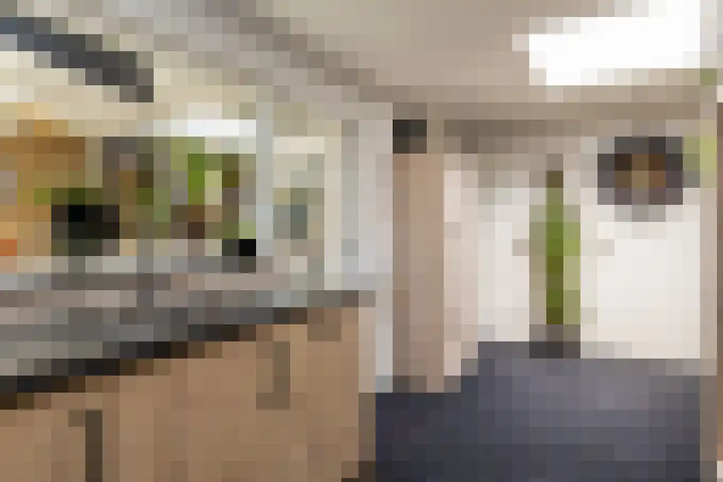 Speelbrinkweg 20 't Harde thumbnail 19