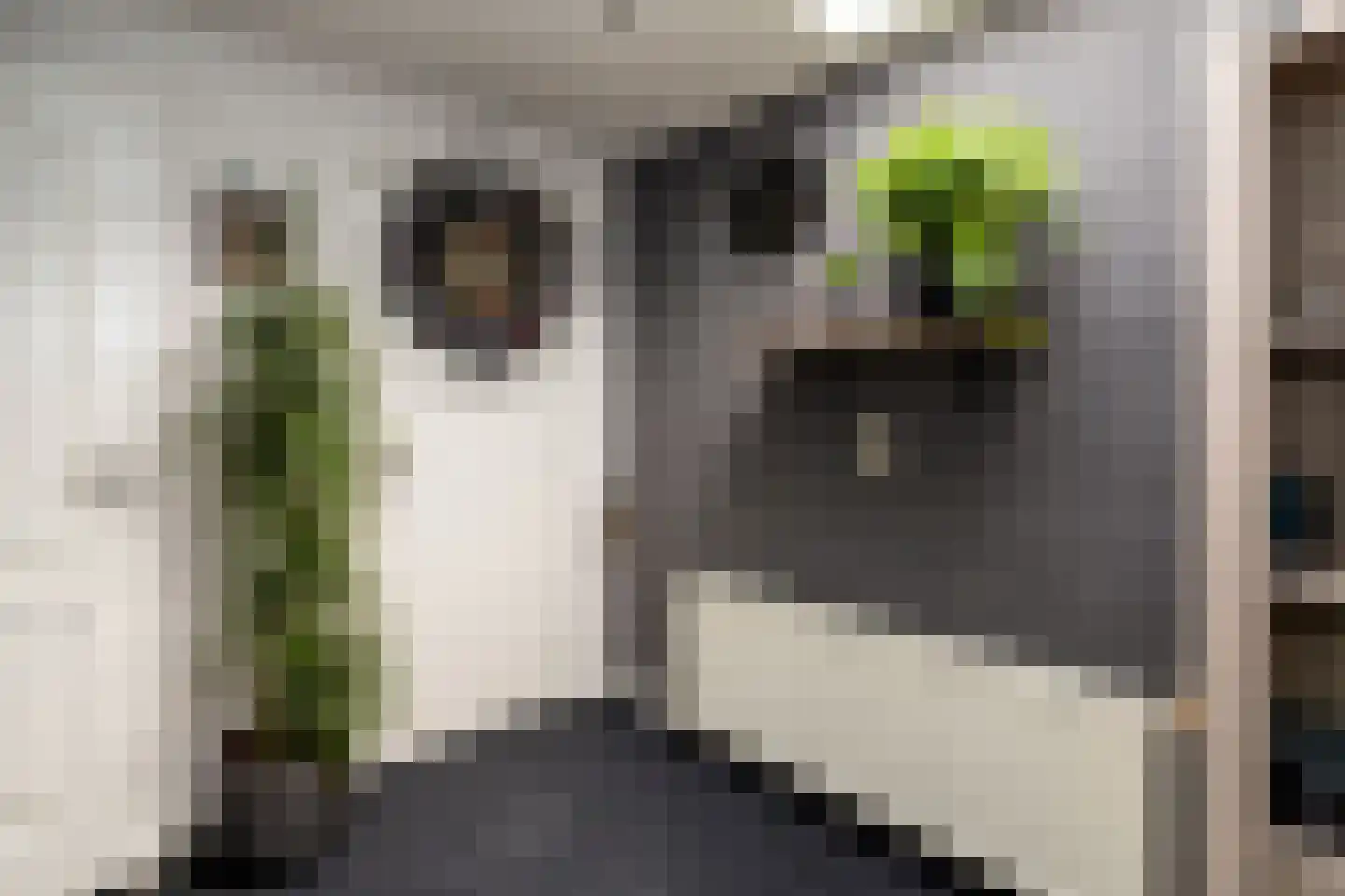 Speelbrinkweg 20 't Harde thumbnail 20