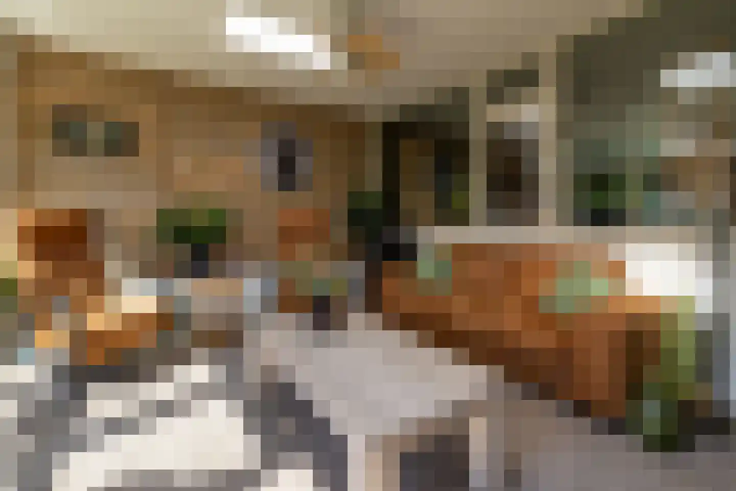 Speelbrinkweg 20 't Harde thumbnail 21