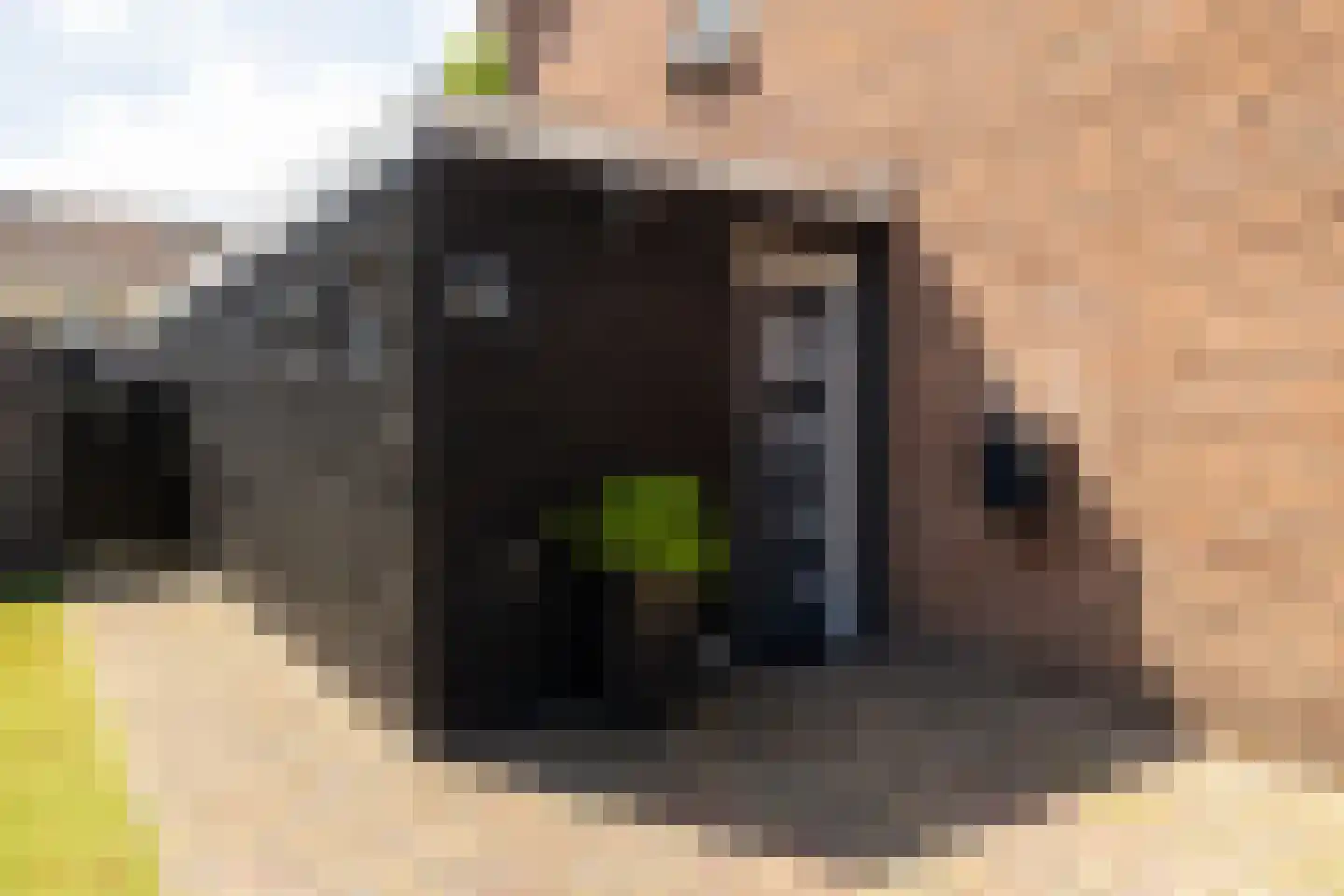 Speelbrinkweg 20 't Harde thumbnail 39