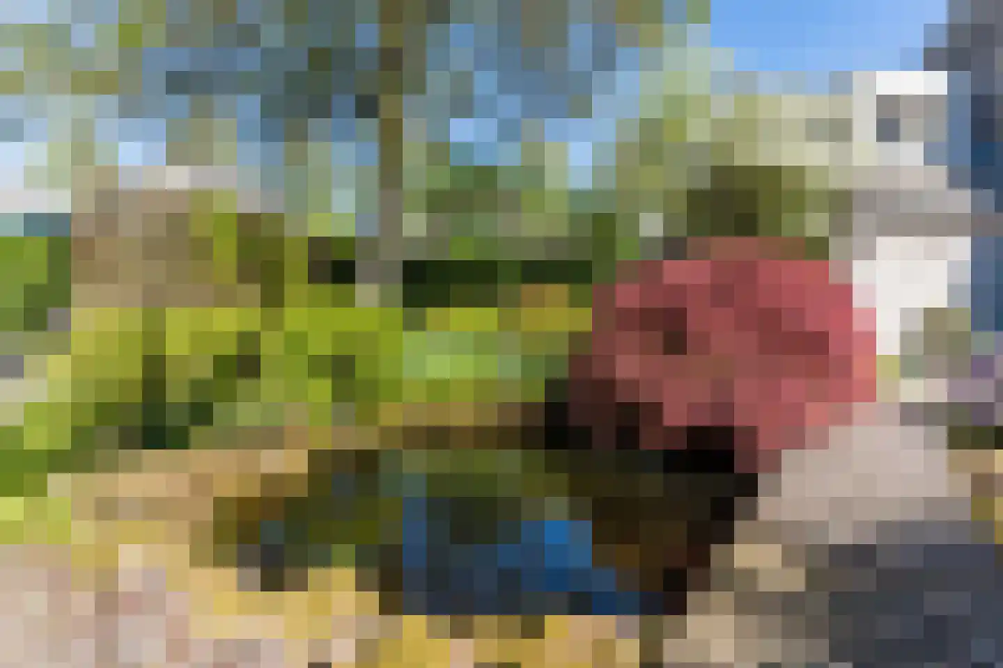 Speelhei 1 Veldhoven thumbnail 31
