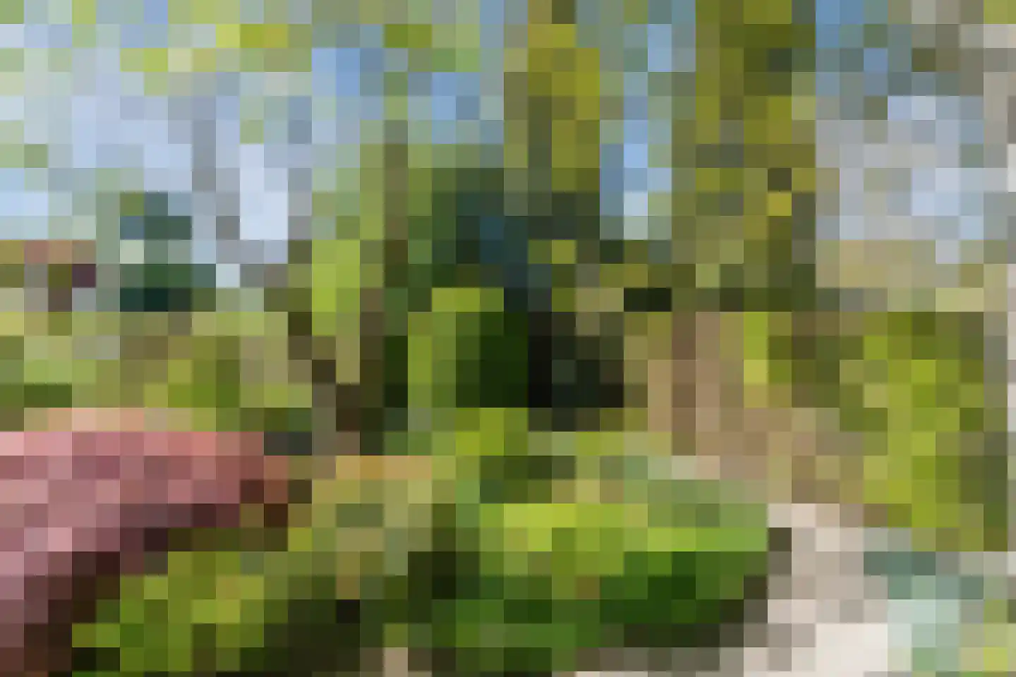 Speelhei 1 Veldhoven thumbnail 32
