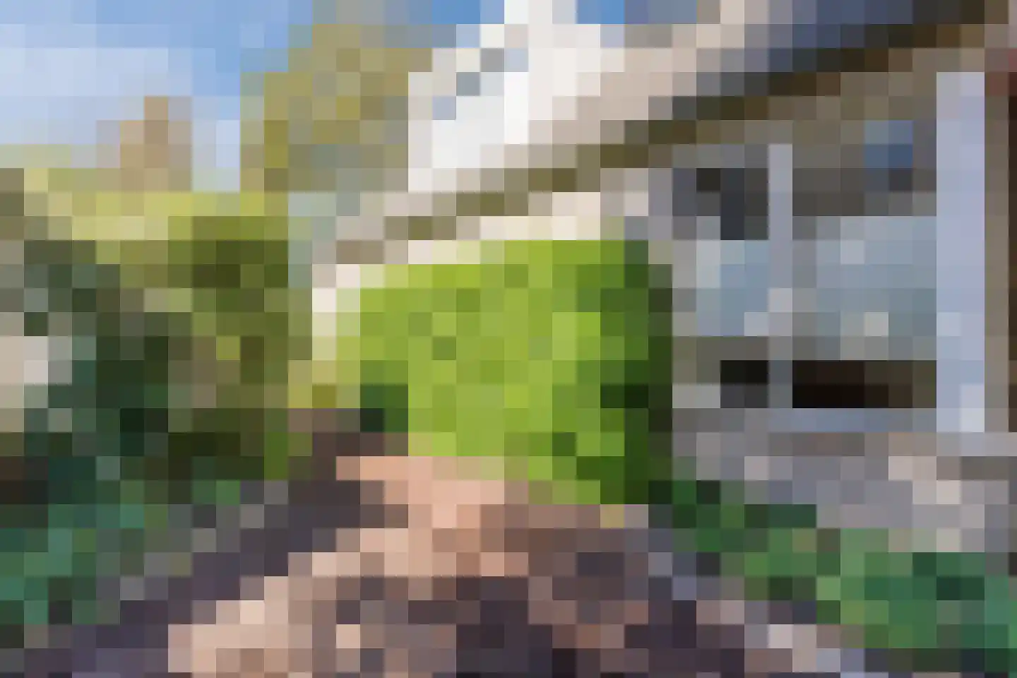 Speelhei 1 Veldhoven thumbnail 34