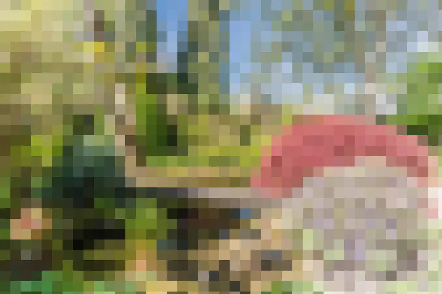 Speelhei 1 Veldhoven thumbnail 4