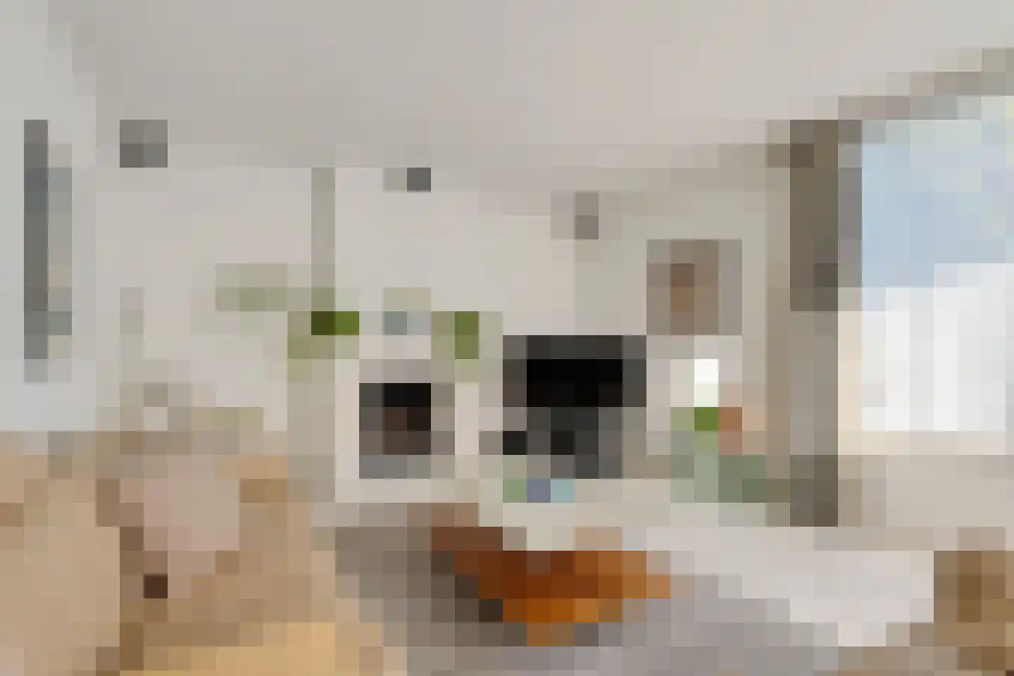 Speelhei 7 Veldhoven thumbnail 10