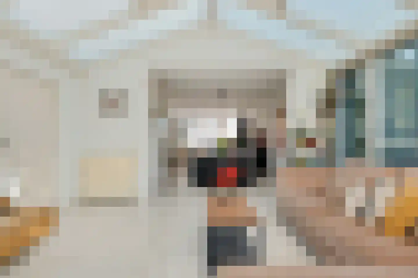 Speelhei 7 Veldhoven thumbnail 20