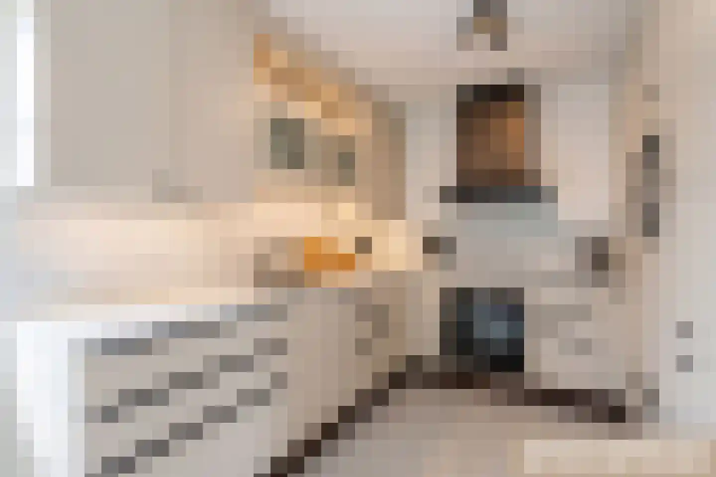 Speelhei 7 Veldhoven thumbnail 22