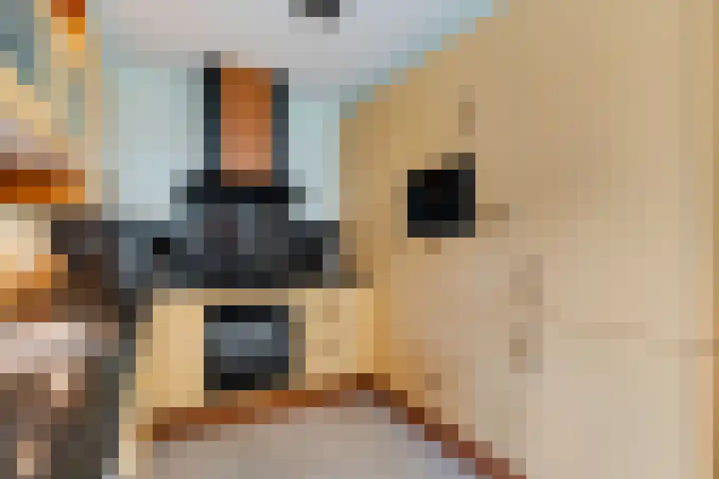 Speelhei 7 Veldhoven thumbnail 23