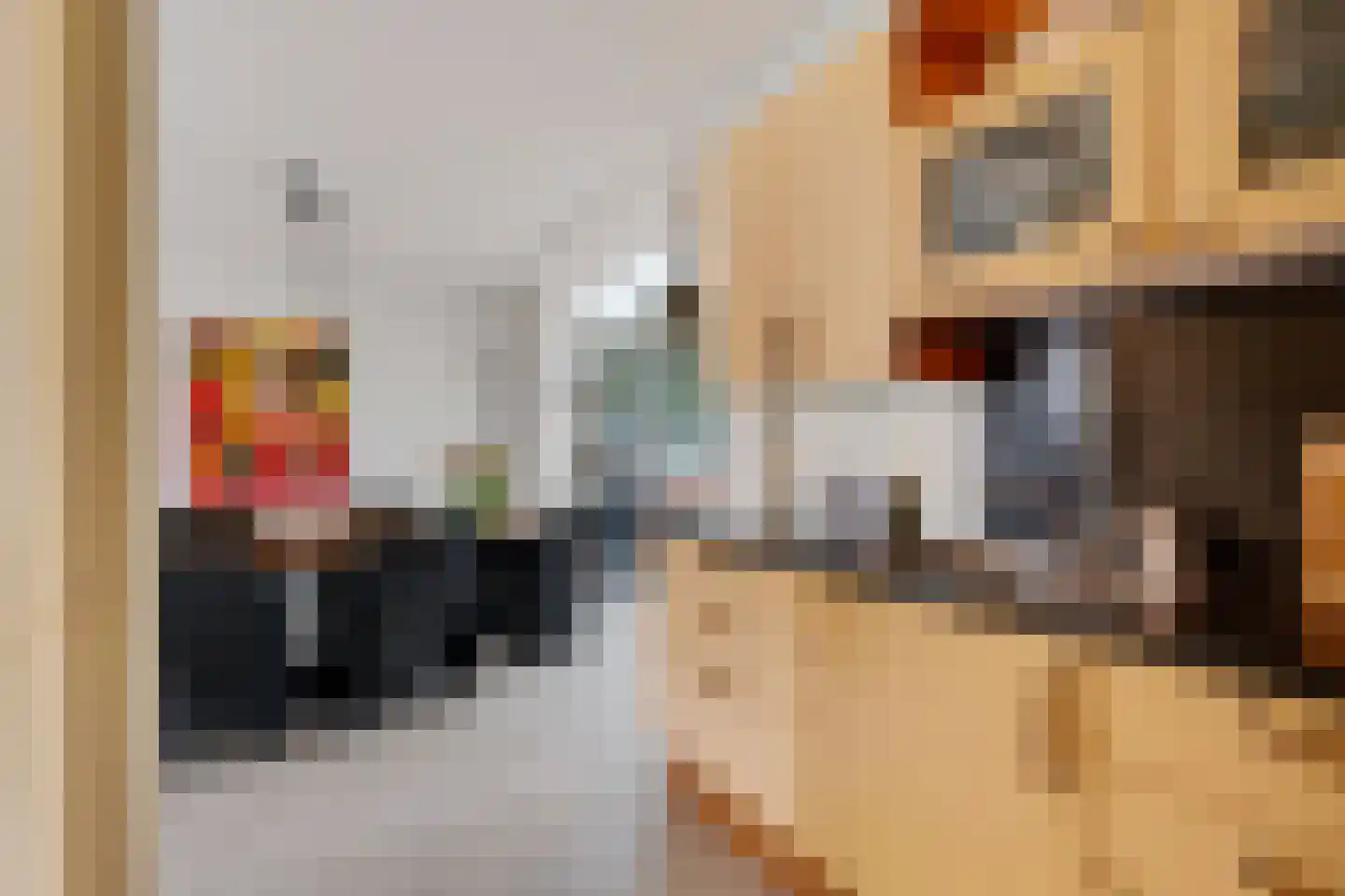 Speelhei 7 Veldhoven thumbnail 24