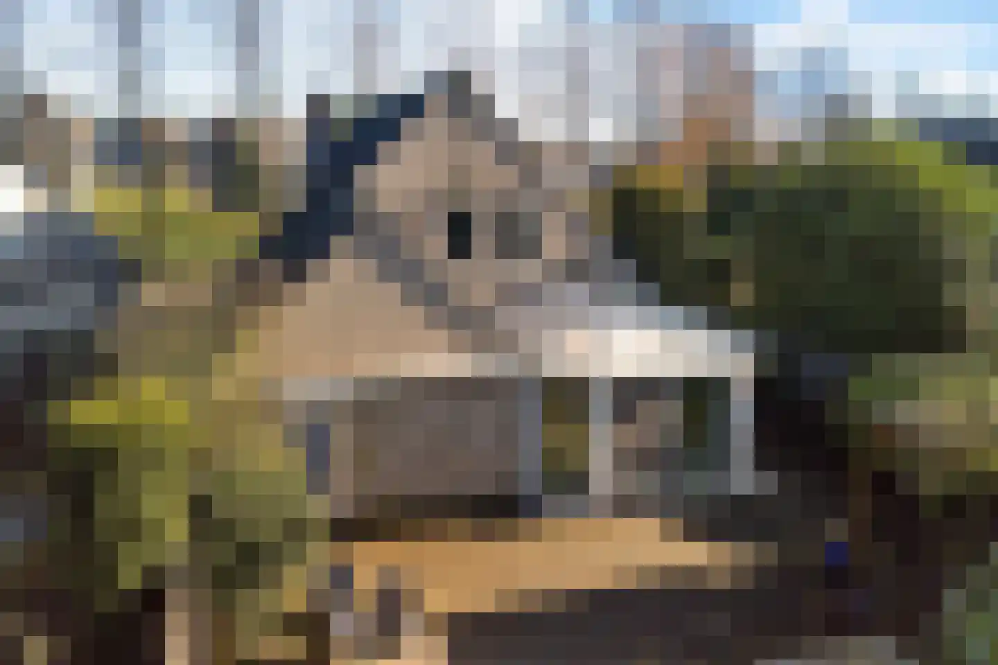 Speelhei 7 Veldhoven thumbnail 40