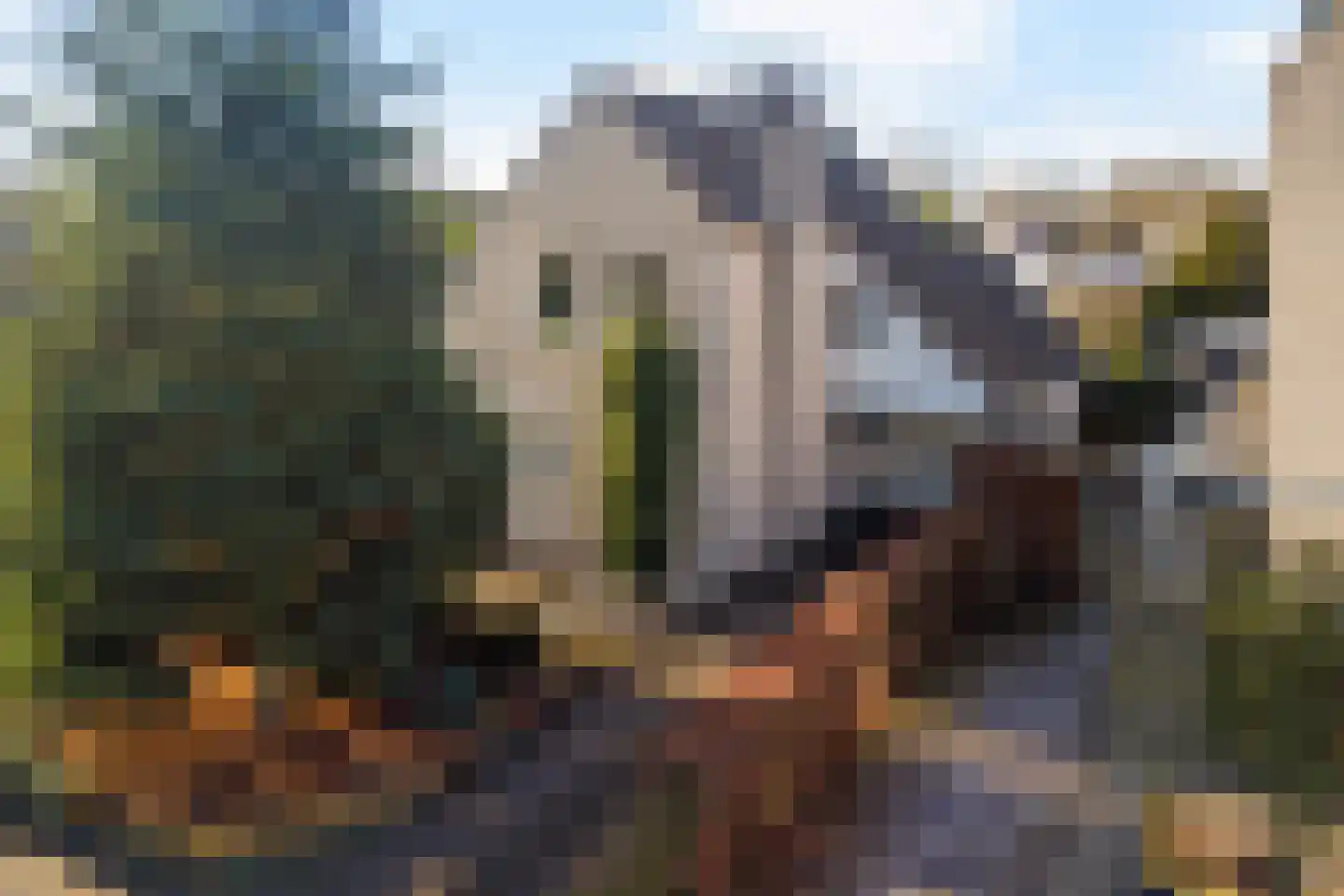 Speelhei 7 Veldhoven thumbnail 5