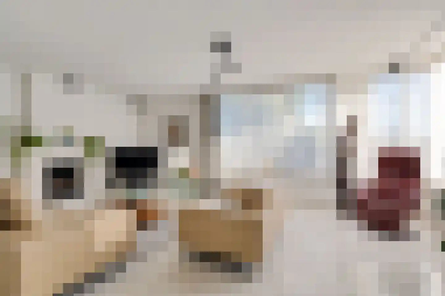 Speelhei 7 Veldhoven thumbnail 8