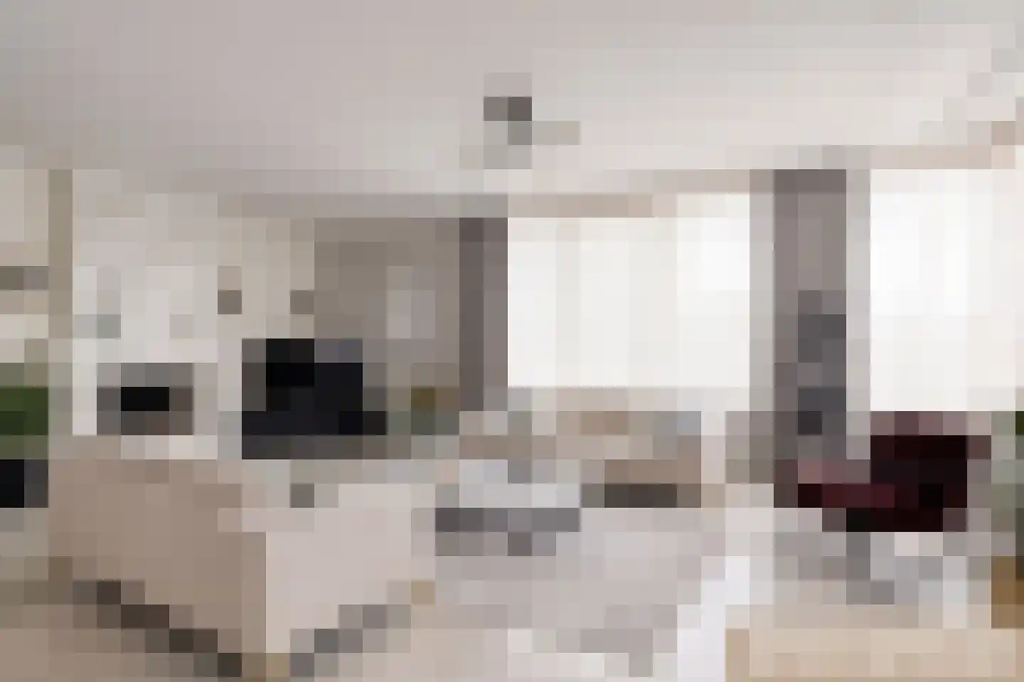 Speelhei 7 Veldhoven thumbnail 9