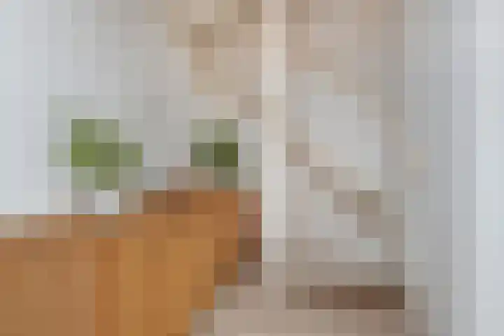 Speelheuvel 7 Urmond thumbnail 30