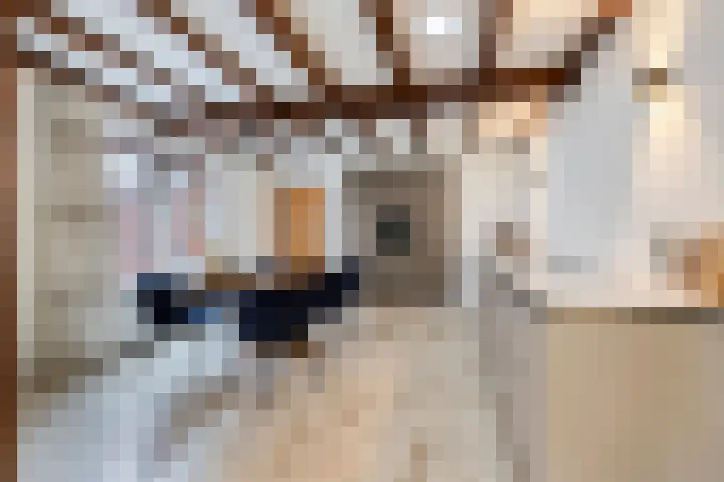 Speelheuvelstraat 23 a Someren thumbnail 15