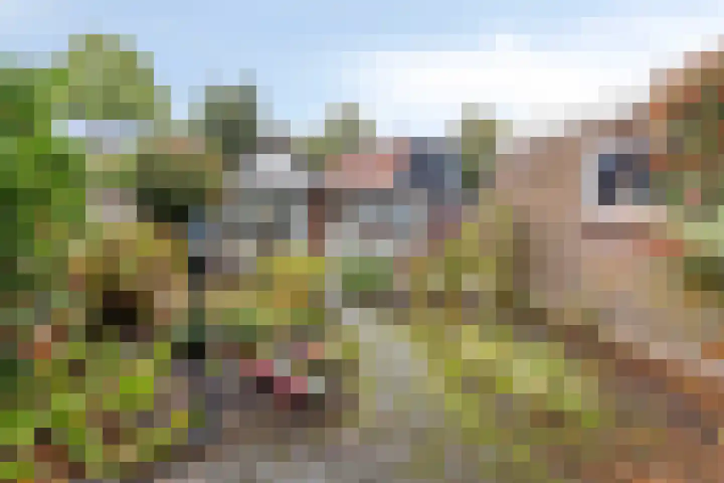 Speelheuvelstraat 23 a Someren thumbnail 6