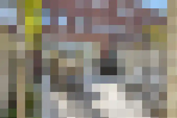 Speelhuislaan 136 Breda thumbnail 19