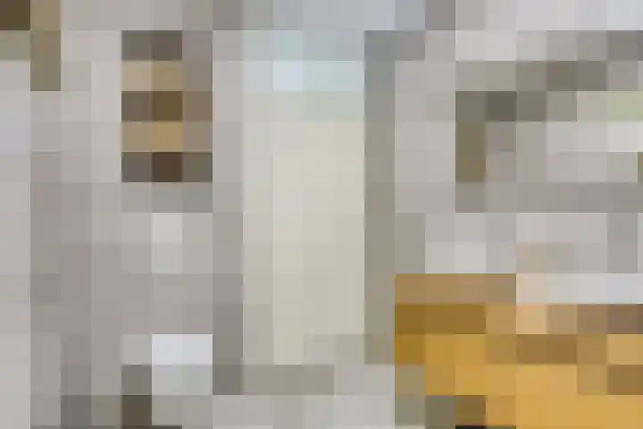 Speelhuislaan 136 Breda thumbnail 27