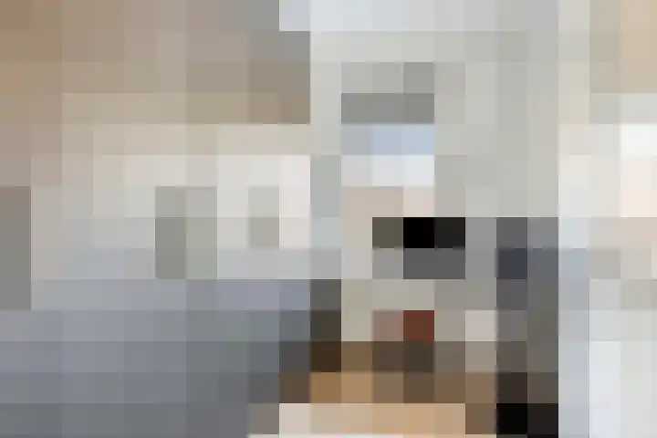 Speelhuislaan 136 Breda thumbnail 30