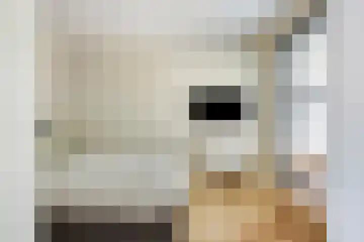 Speelhuislaan 136 Breda thumbnail 35