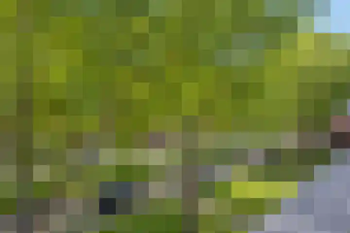 Speelhuislaan 136 Breda thumbnail 39