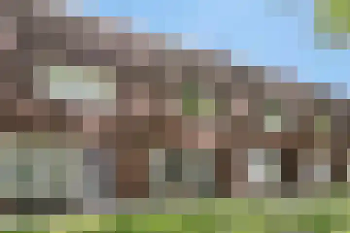 Speelhuislaan 136 Breda thumbnail 40