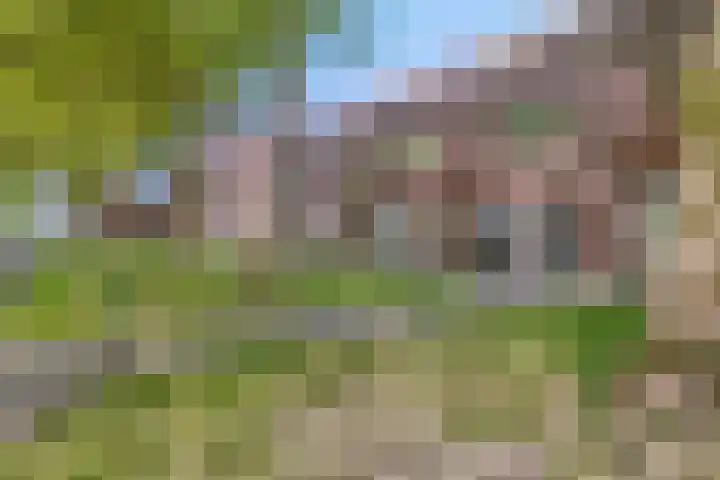 Speelhuislaan 136 Breda thumbnail 41