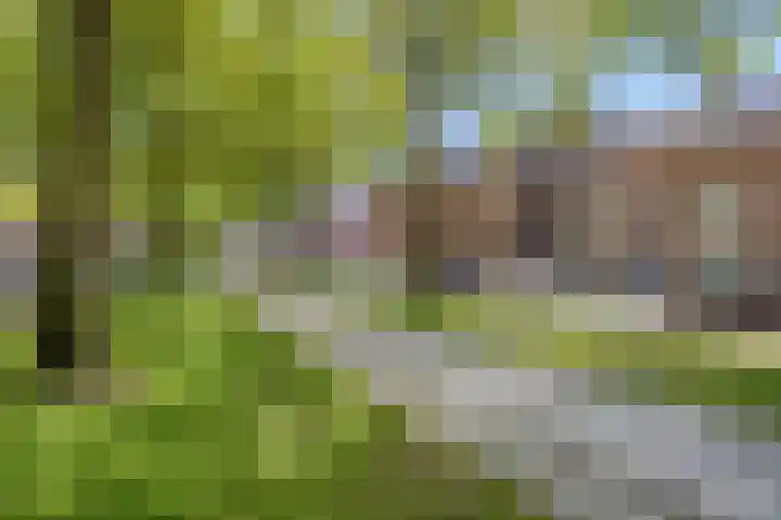 Speelhuislaan 136 Breda thumbnail 43