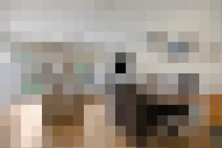 Speelhuislaan 140 Breda thumbnail 6