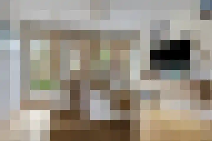 Speelhuislaan 140 Breda thumbnail 9