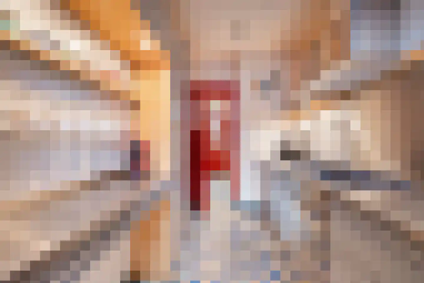 Speelhuislaan 70 Breda thumbnail 18