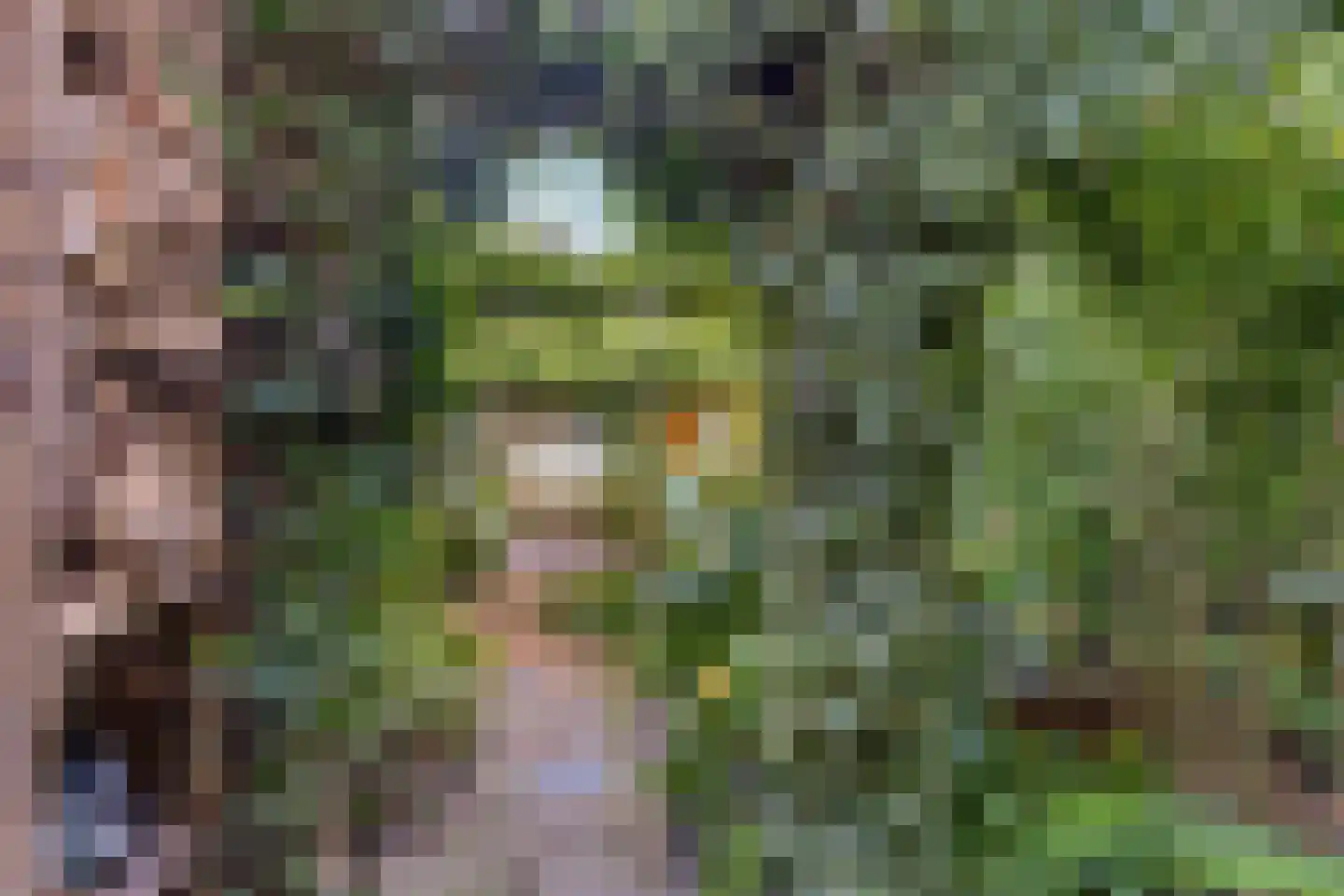 Speelhuislaan 70 Breda thumbnail 32