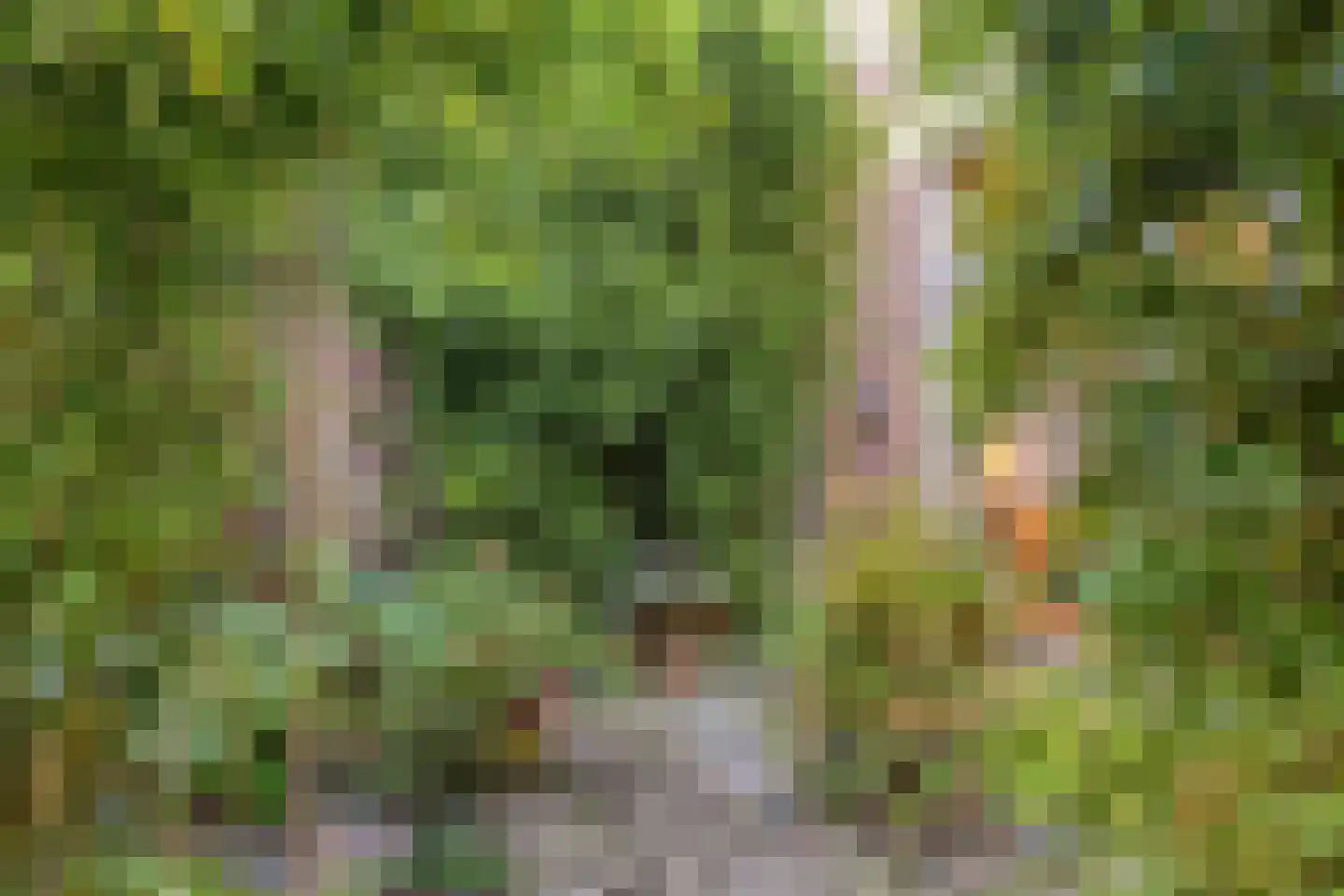 Speelhuislaan 70 Breda thumbnail 33