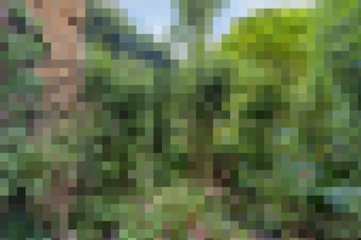 Speelhuislaan 70 Breda thumbnail 34
