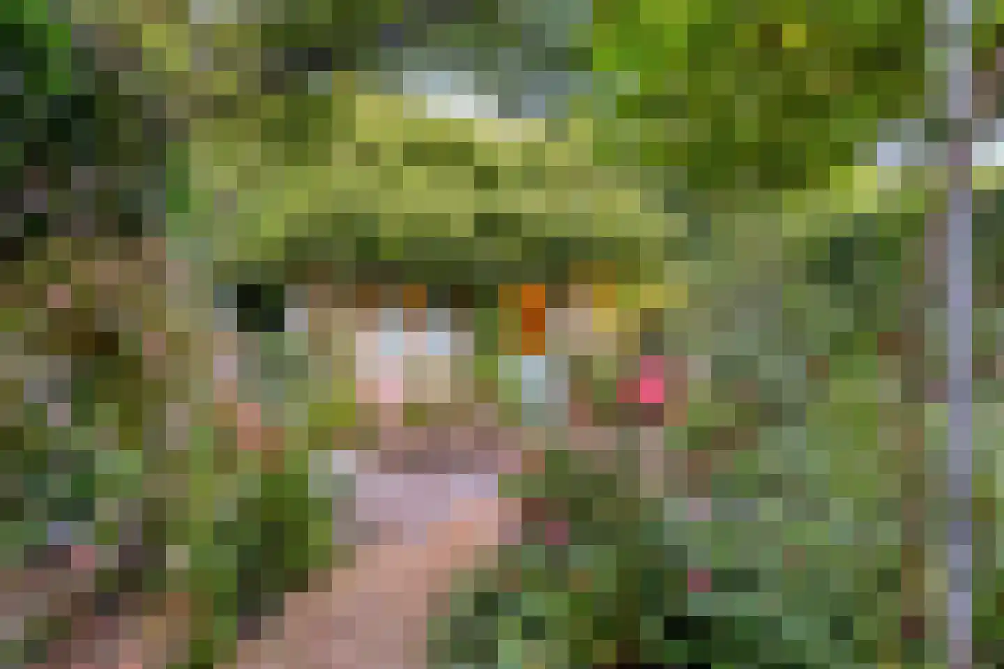 Speelhuislaan 70 Breda thumbnail 35