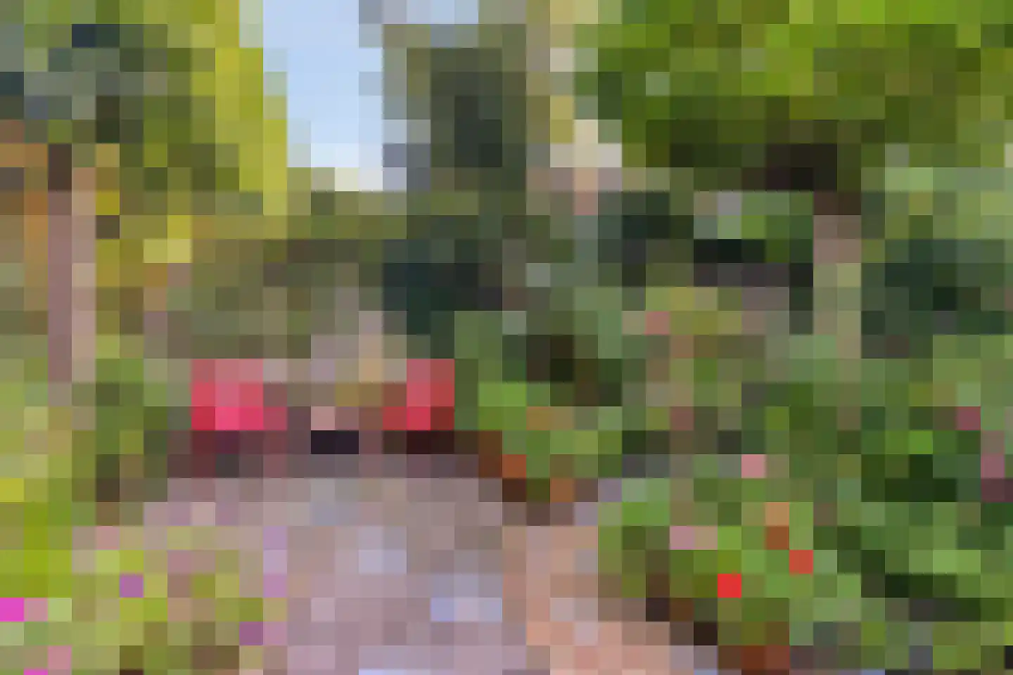 Speelhuislaan 70 Breda thumbnail 36