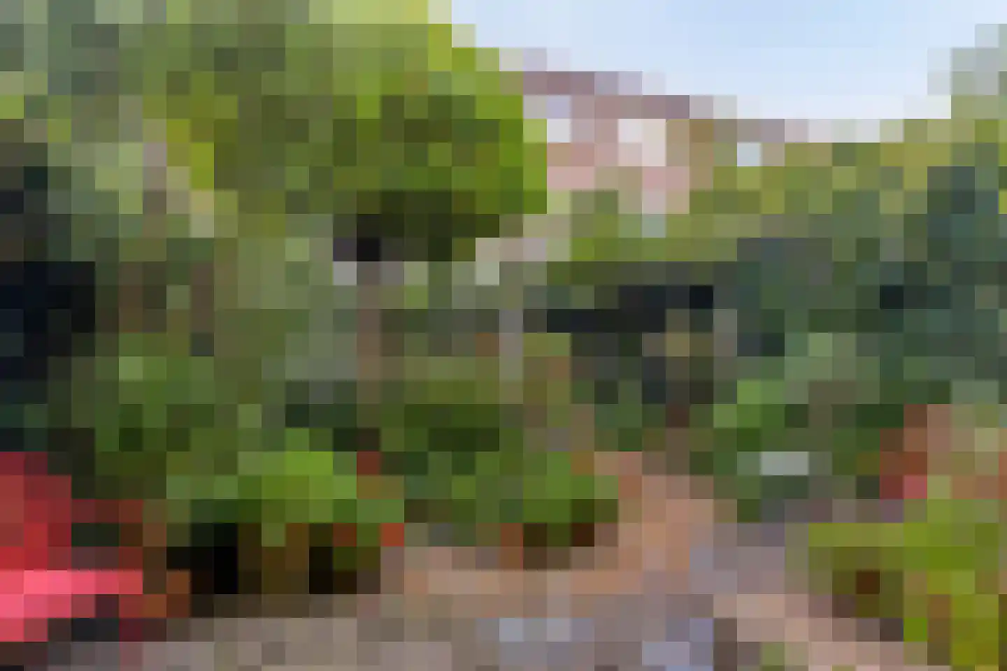 Speelhuislaan 70 Breda thumbnail 37