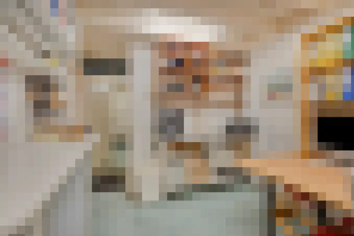 Speelhuislaan 70 Breda thumbnail 43