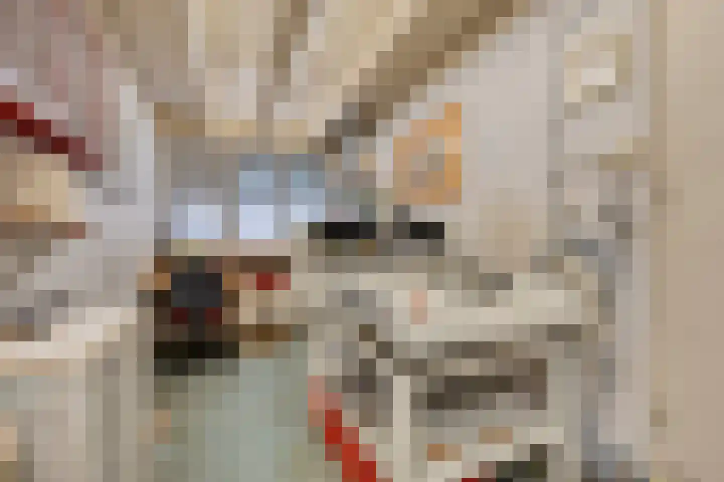 Speelhuislaan 70 Breda thumbnail 45