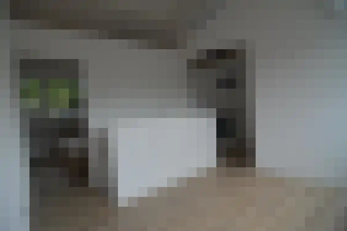 Speelhuislaan 71 Breda foto 3