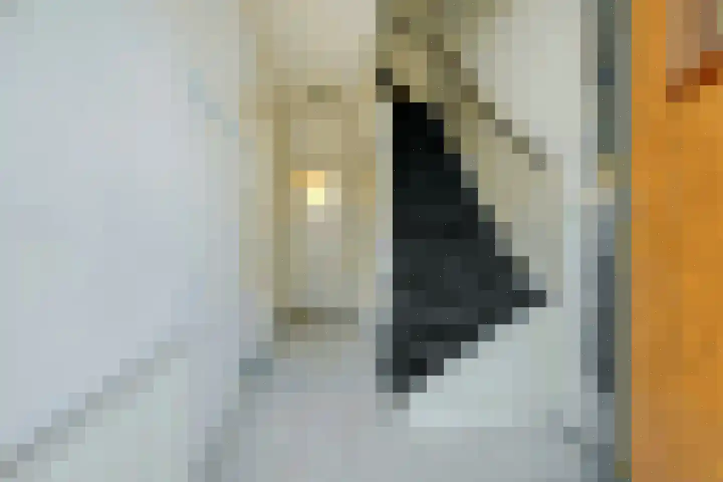 Speelhuislaan 73 Breda thumbnail 5