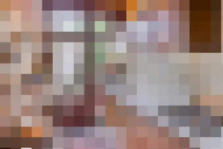 Speelhuislaan 86 Breda thumbnail 10