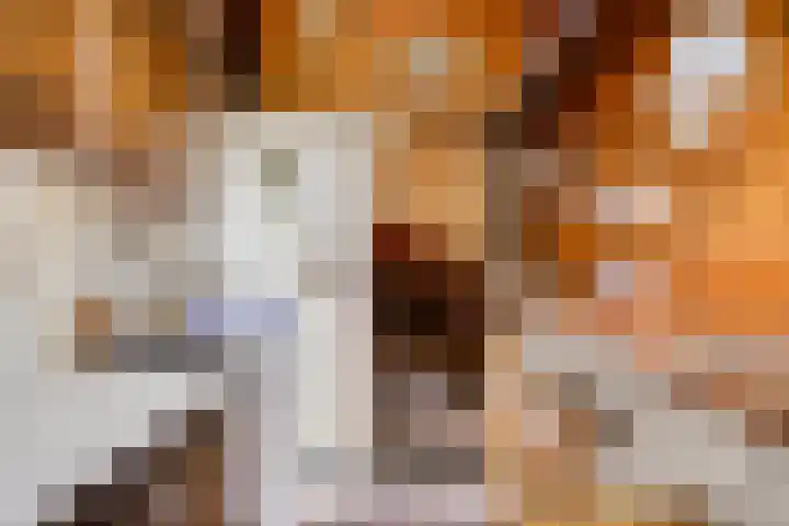 Speelhuislaan 86 Breda thumbnail 11